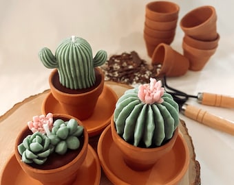 Succulent Candle / Cactus Candle / Terrarium / Flower Candle / Plant Mom / Baby Shower / Bridal Shower / Party Favor / Home Decor / Gift