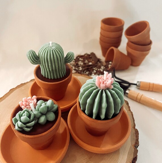 Succulent Candle / Cactus Candle / Terrarium / Flower Candle / Plant Mom /  Baby Shower / Bridal Shower / Party Favor / Home Decor / Gift - Etsy Israel