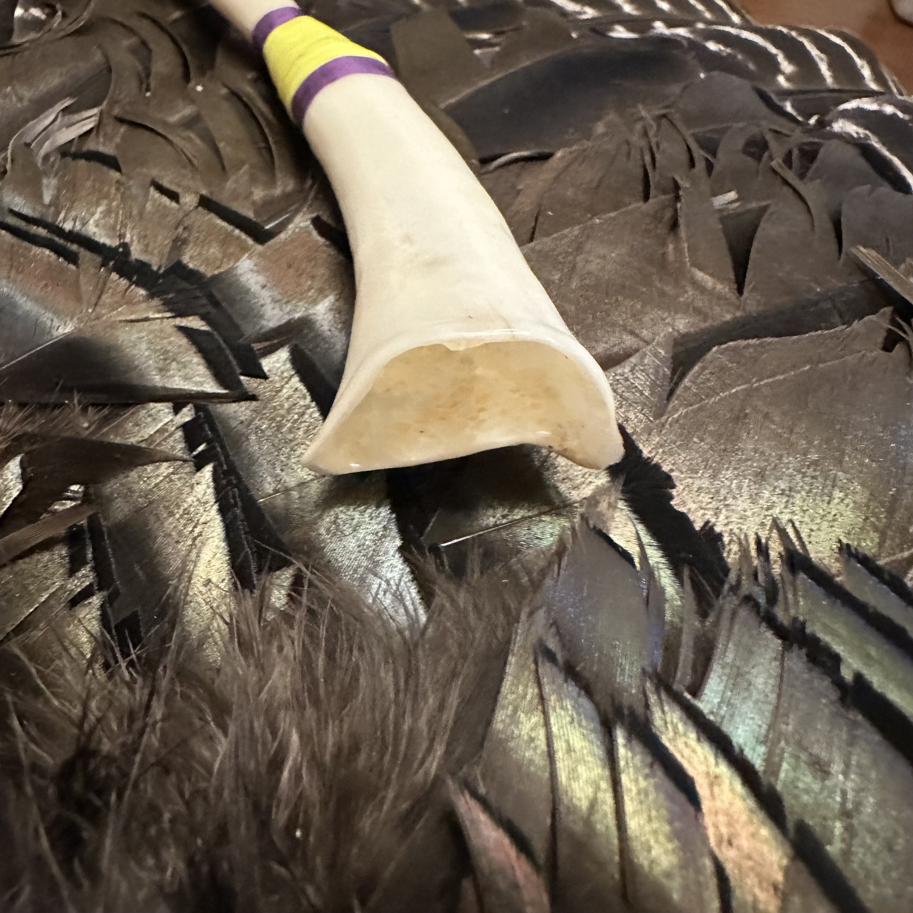 Wingbone Turkey Call Etsy