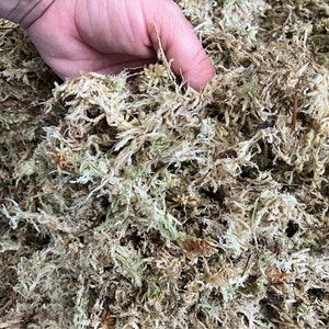 Premium New Zealand Sphagnum Moss (bulk bricks)
