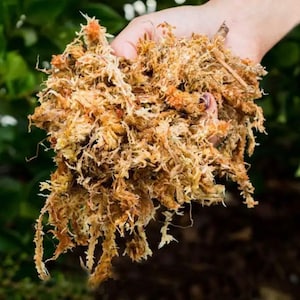 New Zealand Sphagnum Moss - Premier (150g, 12L)