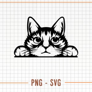 Cute Cat, Peeking Cat, Funny Kitty, Cat Svg, Pet Svg, Animal Funny Face, Printable Png, Cat Laser Cut File Cricut, Shirt Svg Illustration