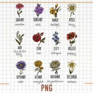 Clipart geboortemaand bloemen, antieke bloemen PNG-bundel, DIY geboortemaand bloemenprint Creator Kit, bloemafbeelding, botanische clipart