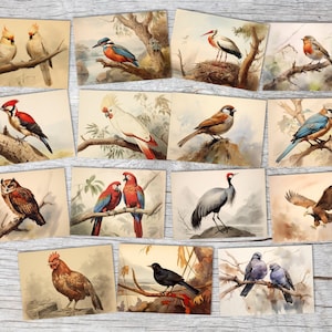 Allemagne Curiosités Set de cartes A6 (15 Cards) Schönes Deutschland I Les plus beaux endroits, châteaux, églises, forteresses, villes, natu