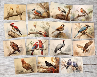 Wonder World Birds Kaartenset A6 (15 Kaarten) De mooiste vogels ik vogelrassen als artistieke kaarten, mus, papegaai, ooievaar, kraanvogel