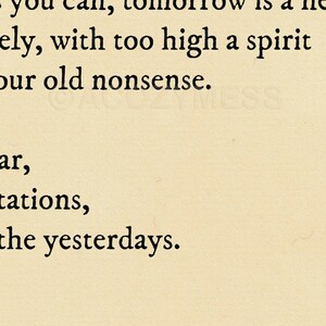 Zoomed-in image showing the Ralph Waldo Emerson quote, Write it on your heart that every day is the best day in the year, in black text on a warm beige background.