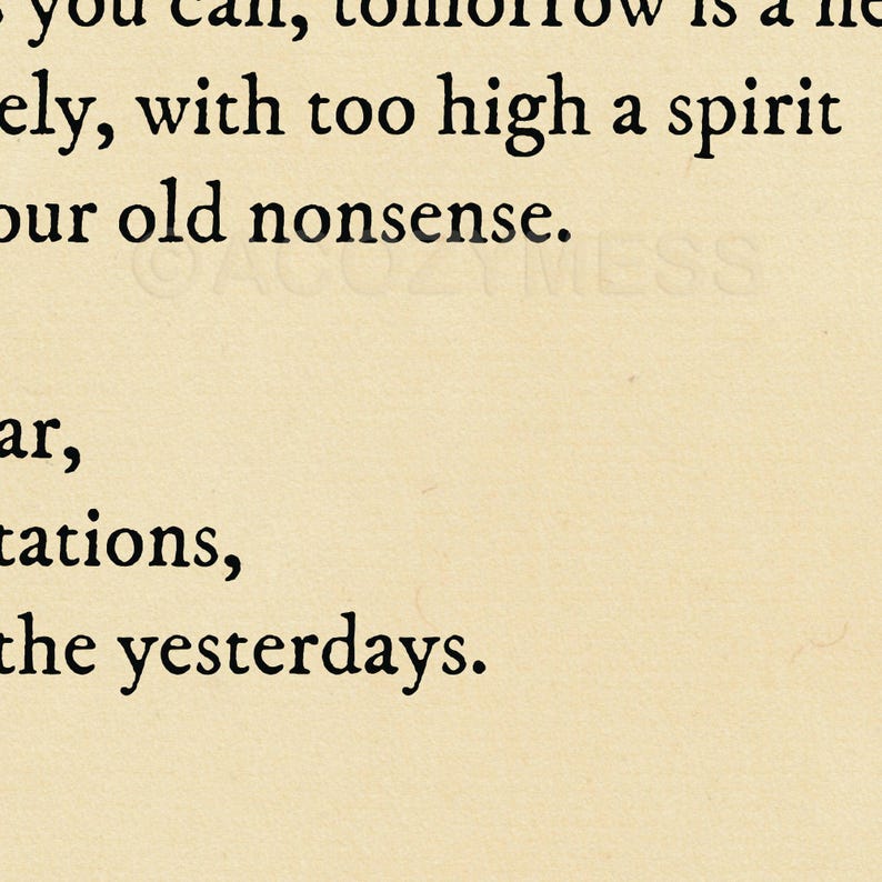 Zoomed-in image showing the Ralph Waldo Emerson quote, Write it on your heart that every day is the best day in the year, in black text on a warm beige background.