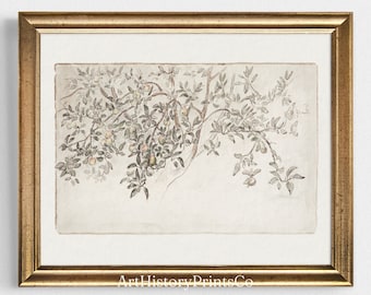 Vintage Apple Tree Sketch Art Print: Farmhouse Kitchen Decor (Digital Download)