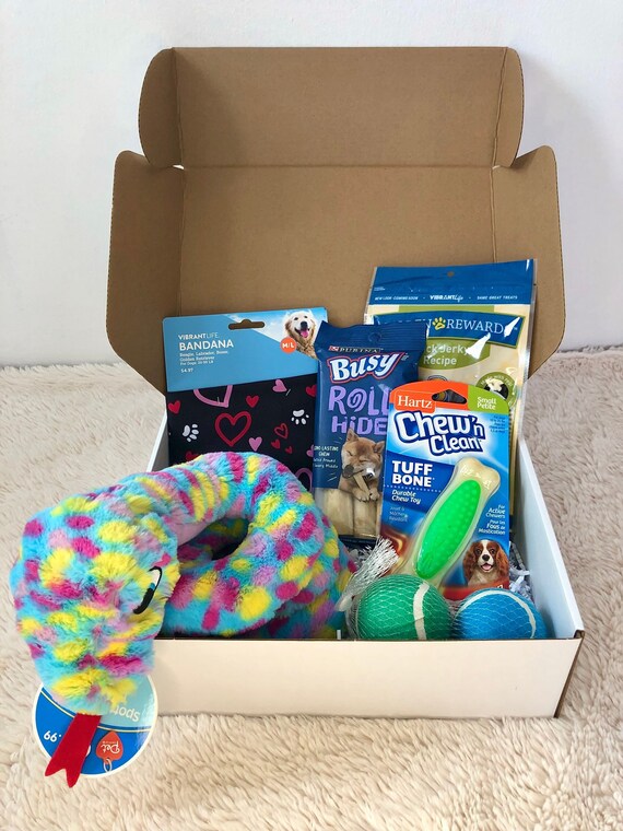 New Dog Box/ Puppy Gift/ Dog Adoption Present Etsy