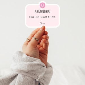 May include: A reminder note with a pink background and a bell icon. The note reads "REMINDER: This Life Is Just A Test. Okay."