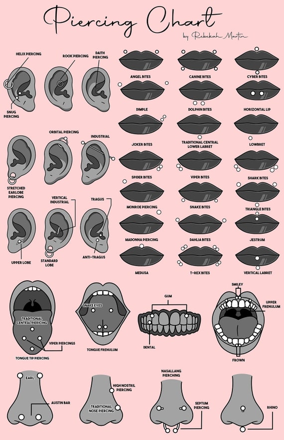 Piercings Chart, Industrial, Lobe, Rook, Daith, Piercings, Lip Piercing,  Nose Piercing, Digital Download Only Hand Drawn - Etsy