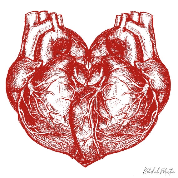 Conjoined Hearts Digital Art Print Anatomical