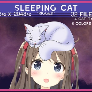 Vtuber Pet, Vtuber asset, Vtuber Accessory, Vtuber Cat, Vtuber cute, Vtuber kitten, vtuber animal, Vtuber RIGGED asset