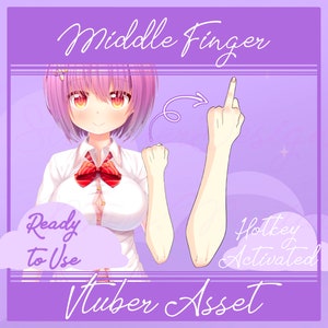 Vtuber middle finger asset, Vtuber funny asset, Vtuber Accessory, Vtuber hand, Vtuber arm, vtuber rigged, Vtuber animated, Vtuber Toggle