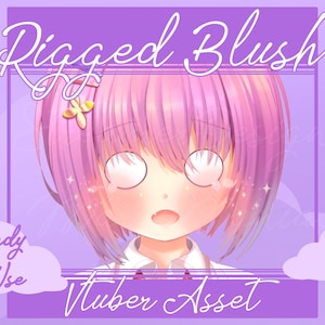 May include: A digital illustration of a cartoon character with pink hair and a blushing face. The character is looking down with their eyes closed. The image is labeled "Rigged Blush Vtuber Asset" and "Ready to Use".