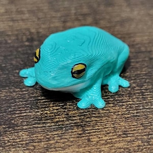 Vit trädgroda magnet