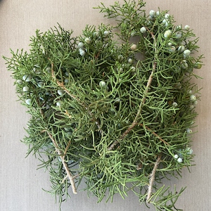 1  pound Fresh Juniper californica Fresh branches with berries 8-10&quot; Branches Loose Branches Christmas Greenery