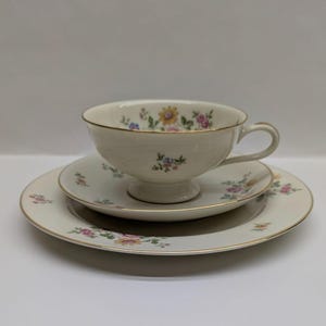 Thomas Rosenthal Germany Floral Trio Set With Gold Trim - Cup Saucer & Plate