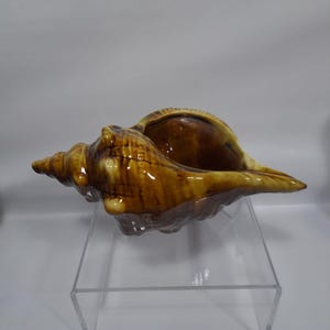 May include: A ceramic seashell sculpture in shades of brown and tan. The glossy finish highlights the intricate details of the shell's spiral and curves. The sculpture is displayed on a clear acrylic stand, showcasing its natural form.