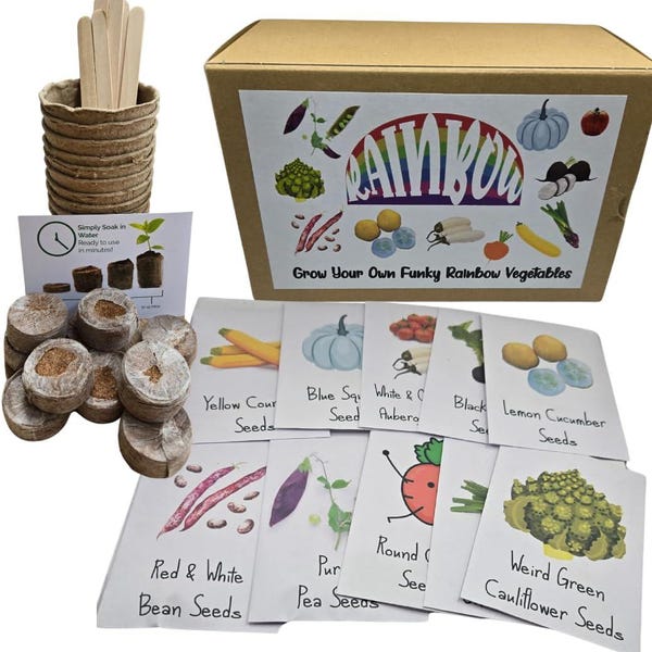 Funky Rainbow Vegetable 10 Seed Kit Non-GMO Seeds Planting, Gift Box, Grow Your Own Kits, Grow Own Food, Home Gardening Gifts Mothers Day