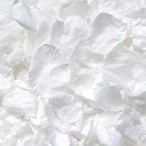 Coriandoli bianchi per matrimonio / Petali di rosa bianchi / Coriandoli biodegradabili / Cesto per damigelle / Lancio di coriandoli / Coriandoli di petali di rosa / Decorazione della navata