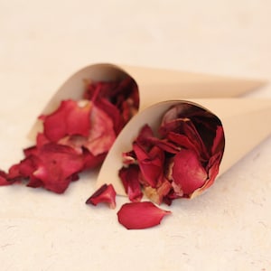 Flower Confetti + Cones | Biodegradable Confetti | Dried Flower Wedding Confetti | Paper Wedding Cone | Wedding Confetti Bulk | Flower Girl
