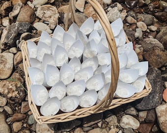 Flower Confetti + Wedding Cones, Wedding Decor, Biodegradable Confetti, Dried Flower Petals, Wedding Favours, White Wedding Confetti