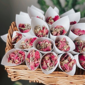 Coriandoli di fiori + coni / Coriandoli biodegradabili / Coriandoli di fiori secchi per matrimonio / Cono di carta per matrimonio / Coriandoli sfusi per matrimonio / Damigella