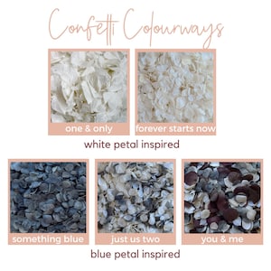 May include: An image showcasing confetti in various color palettes. The confetti is arranged in squares, with each square featuring a different color scheme. Text includes "Confetti Colourways", "one & only", "forever starts now", "something blue", "just us two", and "you & me".