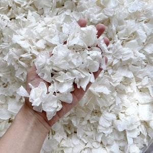 Vit bröllopskonfetti | Äkta biologiskt nedbrytbara kronblad | Konfetti med vita kronblad | Blomsterflickkorg | Konfettikastning | Vita hortensiablad bild 2