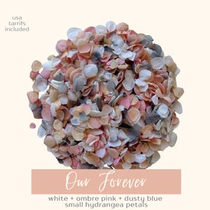 May include: A spherical arrangement of small hydrangea petals in white, ombre pink, and dusty blue hues. The text "Our Forever" is displayed on a pink rectangular banner. The words "usa tarrifs included" are in the upper left corner.