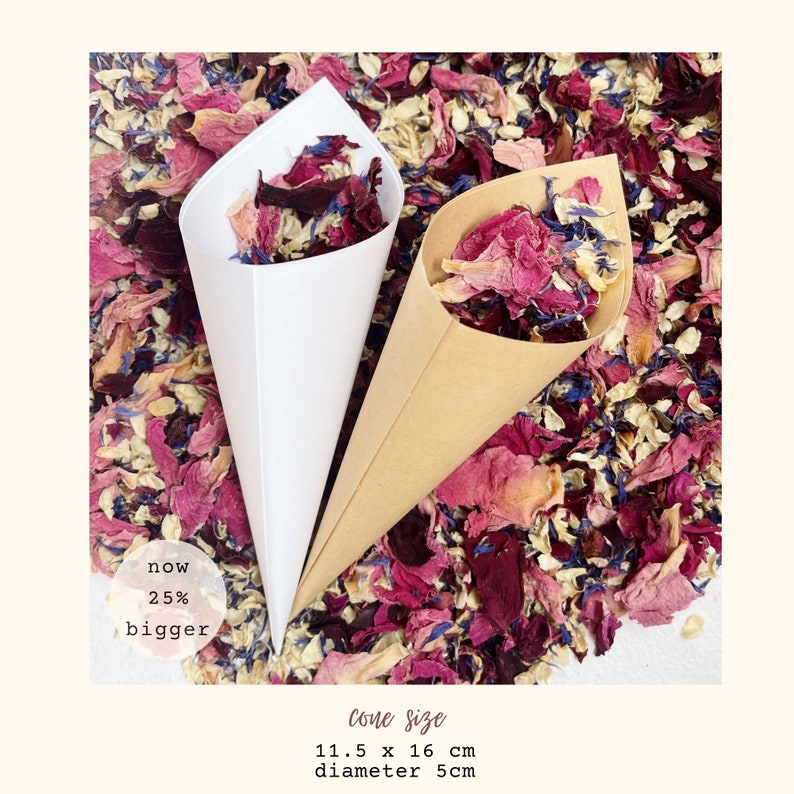 Flower Confetti Cones Biodegradable Confetti Dried Flower Wedding Confetti Paper Wedding Cone Wedding Confetti Bulk Flower Girl image 3