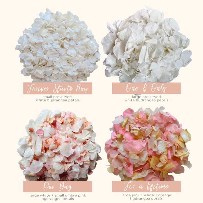 1 Liter Hochzeitskonfetti | Biologisch abbaubares Konfetti | Getrocknete Blumen Konfetti | Hochzeitsdekor | Hochzeit Gastgeschenke Weißes Hochzeitskonfetti Bild 8