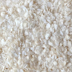Pétalas de flores brancas para casamento | Confete biodegradável para casamento | Hortênsias naturais
