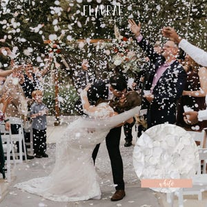 1 Litre Biodegradable Wedding Confetti | Tissue Paper Confetti | Events Confetti | Eco Friendly | Wedding Confetti Bulk | Baby Shower image 3