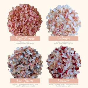 1 Liter Hochzeitskonfetti | Biologisch abbaubares Konfetti | Getrocknete Blumen Konfetti | Hochzeitsdekor | Hochzeit Gastgeschenke Weißes Hochzeitskonfetti Bild 10