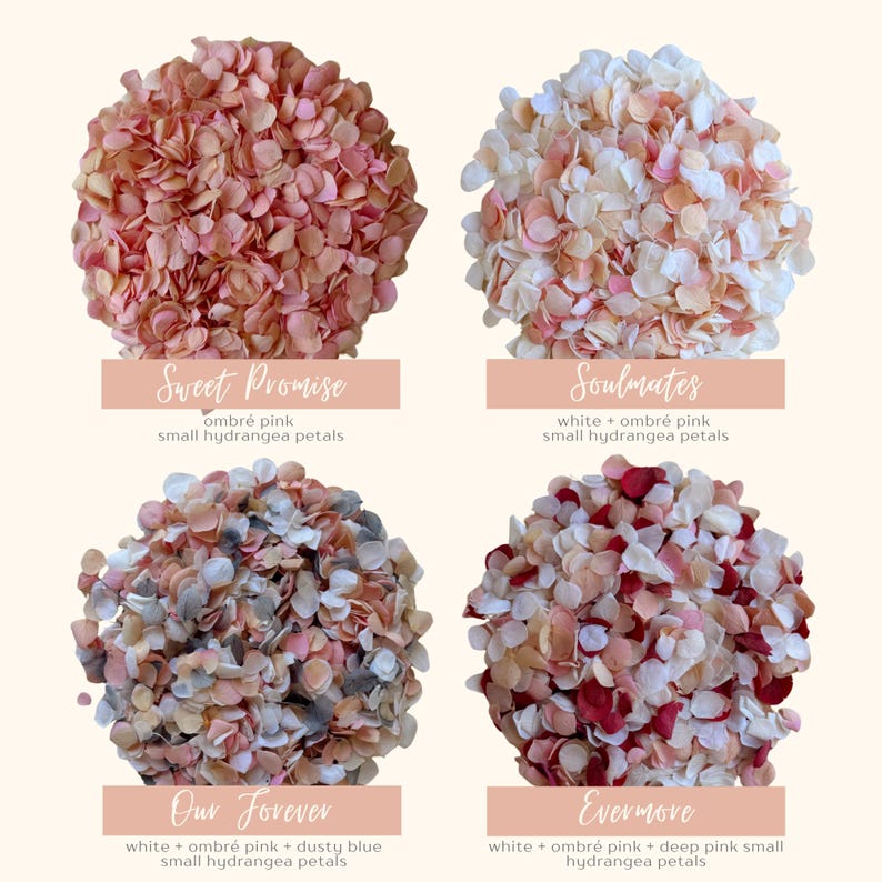 1 Liter Hochzeitskonfetti | Biologisch abbaubares Konfetti | Getrocknete Blumen Konfetti | Hochzeitsdekor | Hochzeit Gastgeschenke Weißes Hochzeitskonfetti Bild 10