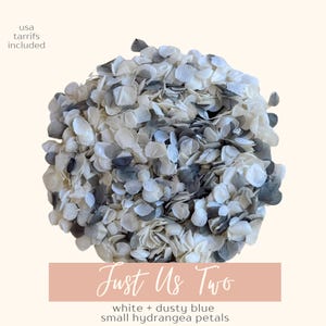 Biodegradable Wedding Confetti + Cones Bundle, Real Flower Confetti, Hydrangea Petals, Paper Wedding Cones, Wedding Decor, Flower Girl Toss Just Us Two