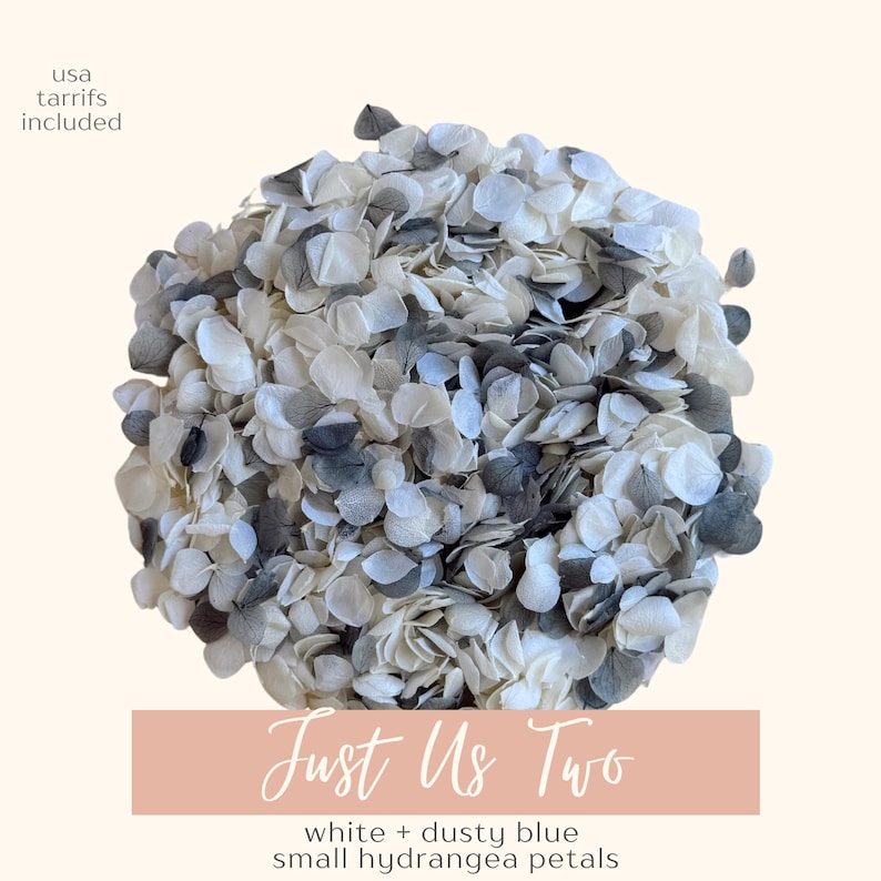Biodegradable Wedding Confetti + Cones Bundle, Real Flower Confetti, Hydrangea Petals, Paper Wedding Cones, Wedding Decor, Flower Girl Toss Just Us Two