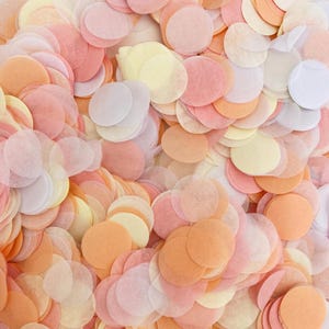 Coriandoli biodegradabili / Coriandoli nuziali / Coriandoli di carta velina / Decorazioni nuziali / Ecologici / Coriandoli nuziali sfusi / Cerchi di carta