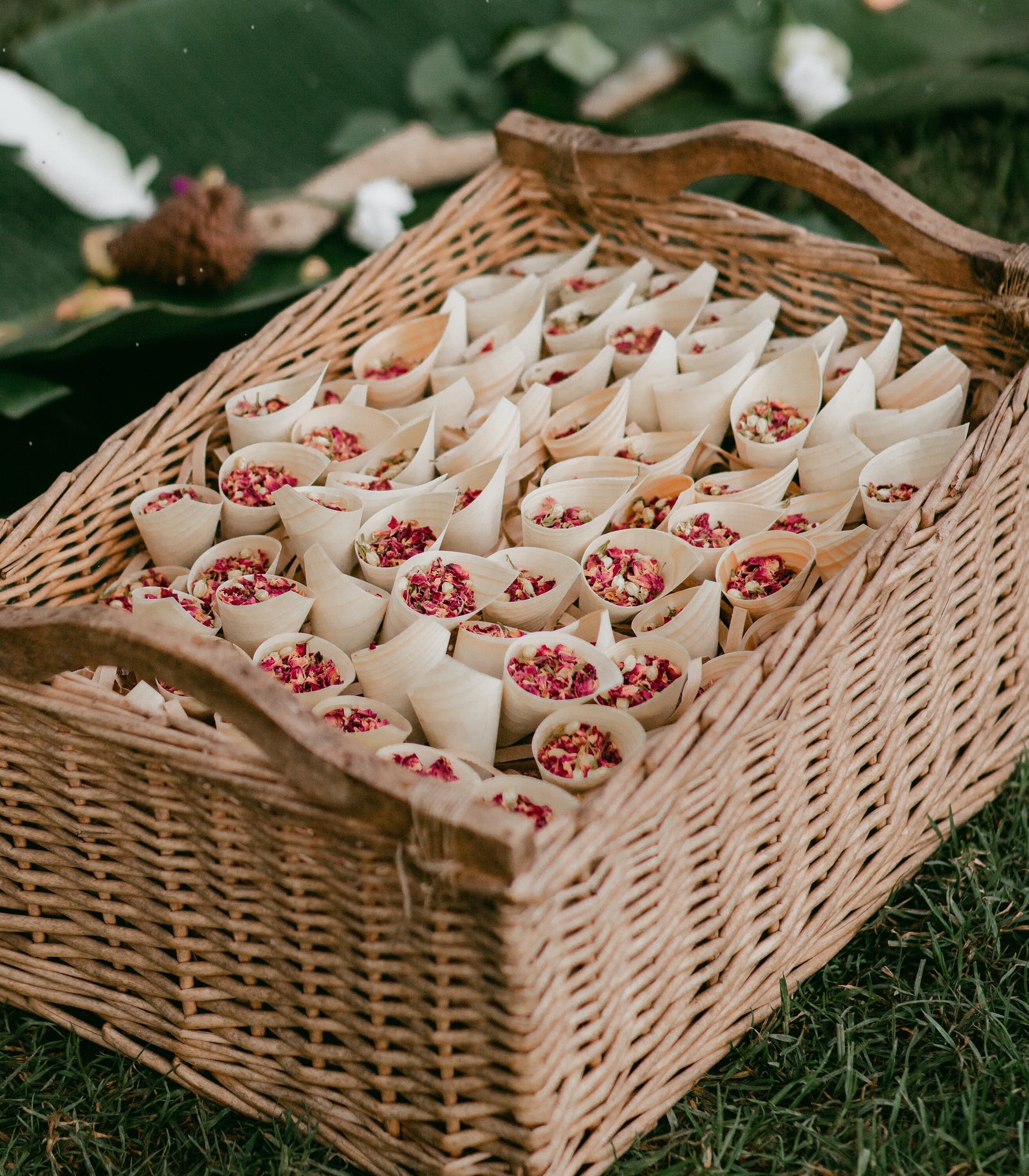 Dried Flower Wedding Confetti in Paper Cones