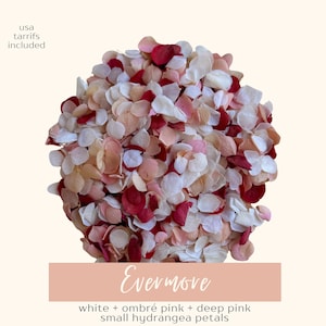 May include: A pile of white, ombr&eacute; pink, and deep pink small hydrangea petals. The petals are arranged in a circular shape. The text "Evermore" is displayed on a pink rectangular banner.