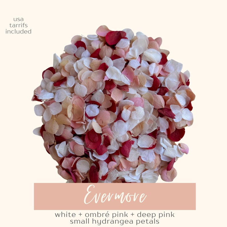 May include: A pile of white, ombr&eacute; pink, and deep pink small hydrangea petals. The petals are arranged in a circular shape. The text "Evermore" is displayed on a pink rectangular banner.