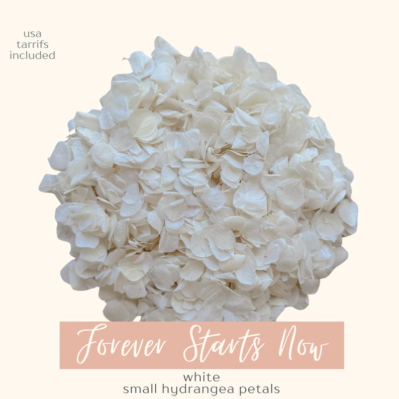 May include: A large cluster of white hydrangea petals. The image includes the text "Forever Starts Now" in cursive, with the words "white small hydrangea petals" below. The words "usa tariffs included" are in the upper left corner.