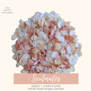May include: A cluster of white, pink, and peach-colored hydrangea petals. The text "Soulmates" is displayed on a peach-colored rectangular banner, along with the words "white + ombr&eacute; pink small hydrangea petals".