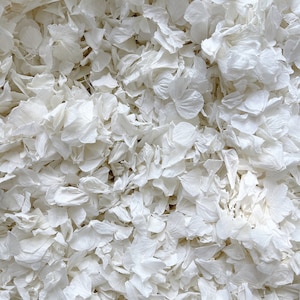 Coriandoli bianchi per matrimonio / Petali veri biodegradabili / Coriandoli di petali bianchi / Cesto per damigelle / Lancio di coriandoli / Petali di ortensia bianca