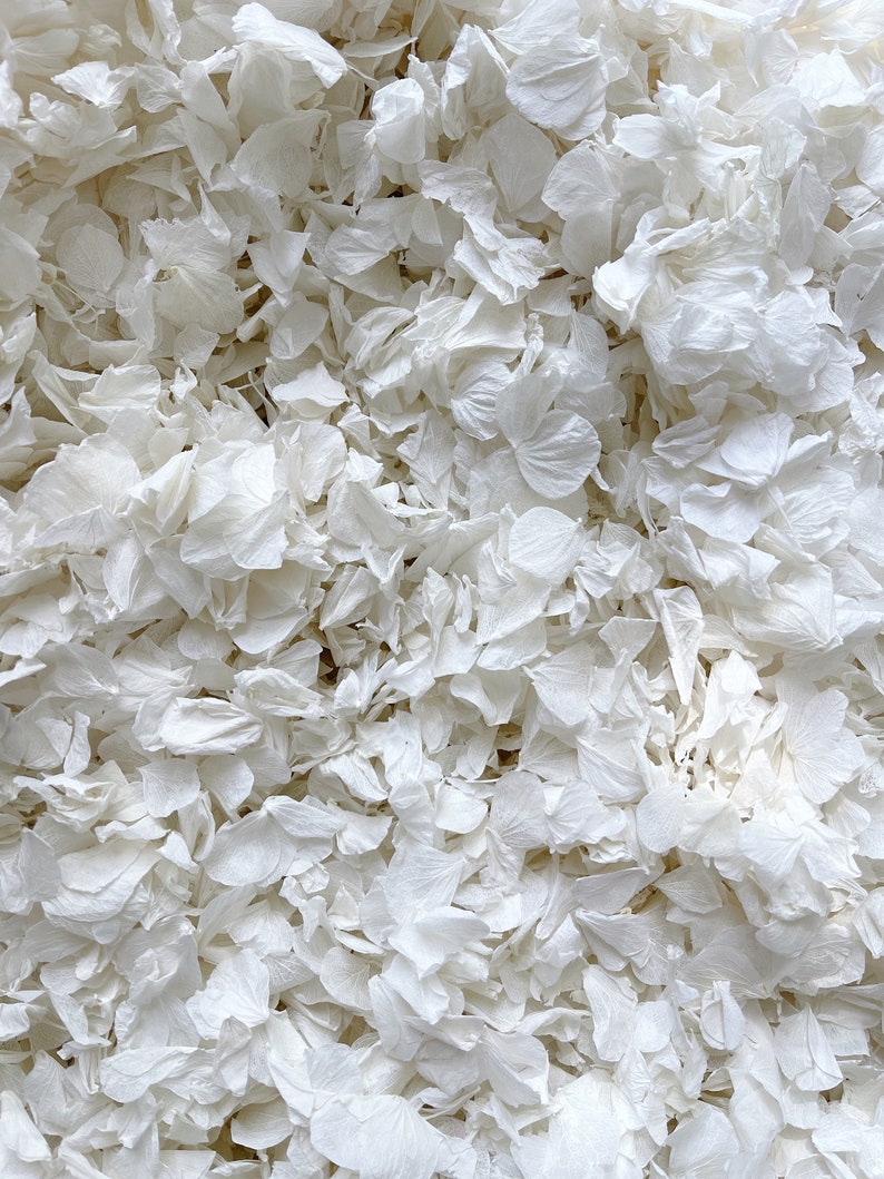 Vit bröllopskonfetti | Äkta biologiskt nedbrytbara kronblad | Konfetti med vita kronblad | Blomsterflickkorg | Konfettikastning | Vita hortensiablad bild 1