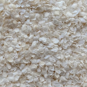 May include: A close-up view of numerous small, off-white, petal-like shapes. These are densely packed, creating a textured, organic pattern. The overall effect is soft and visually appealing, with a natural aesthetic.