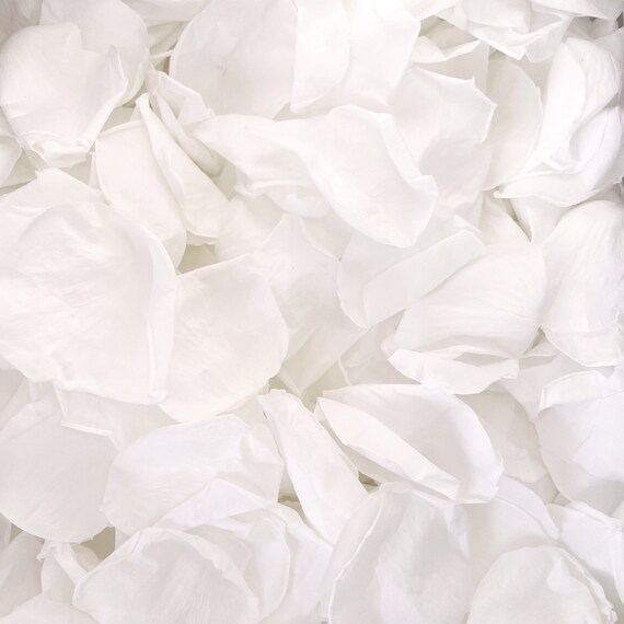 Confetti Moment: a guide to organising your flower petal confetti