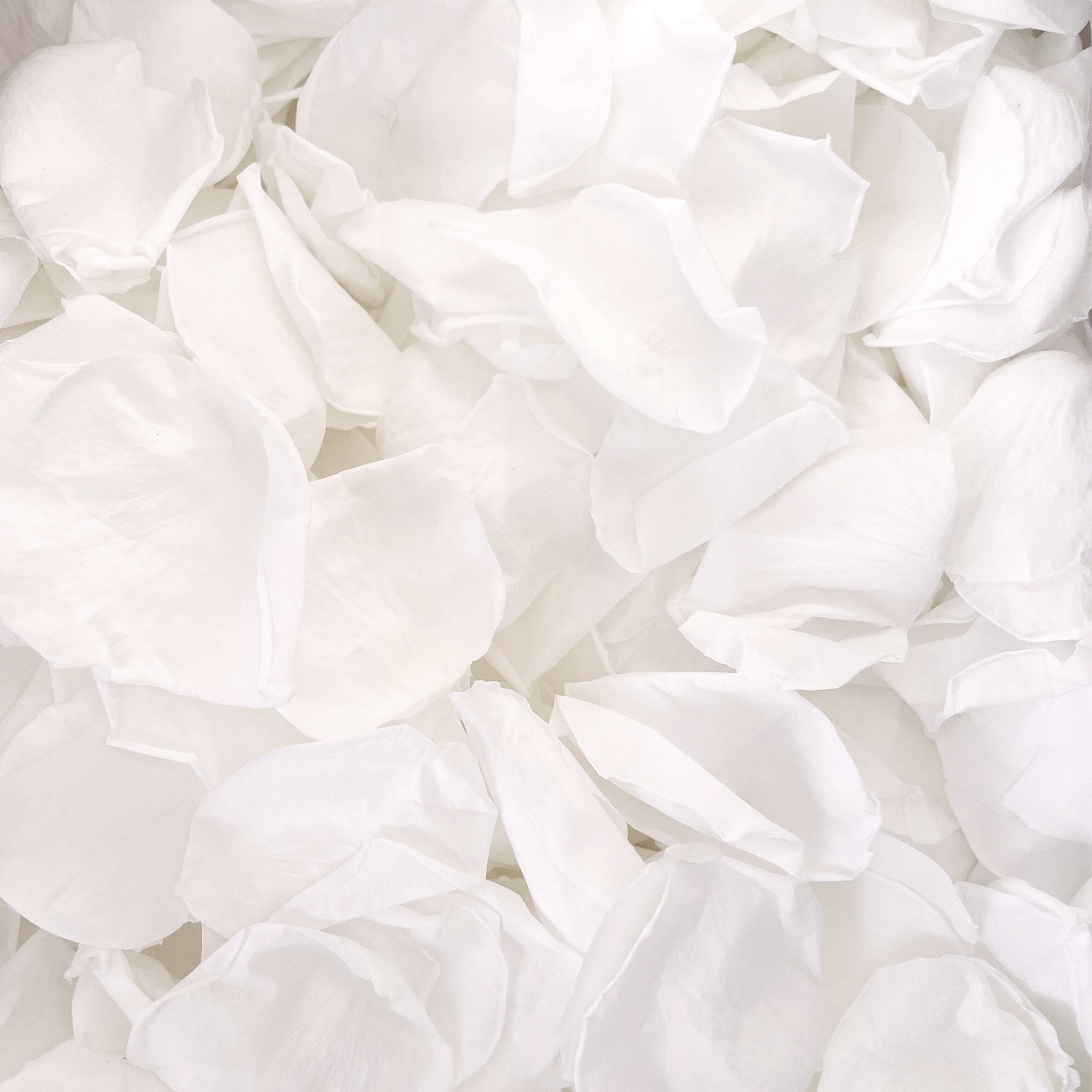 Flower Confetti – Flaurae Confetti